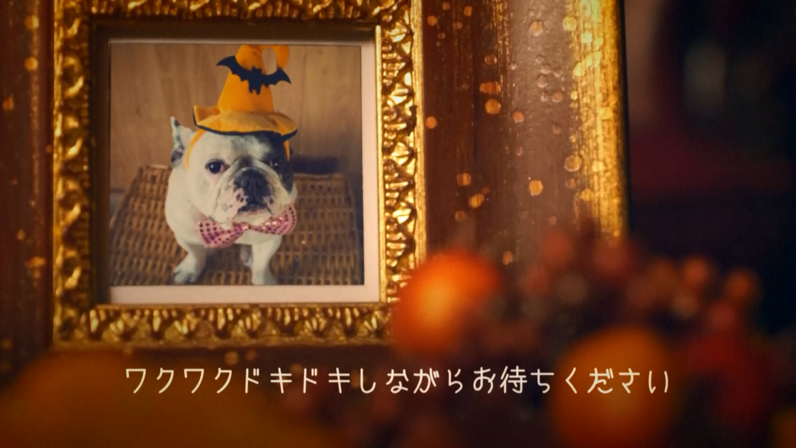 オープニングムービーTrick or Treat12｜結婚式ムービーchouchou（シュシュ）