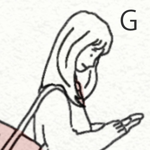 FG