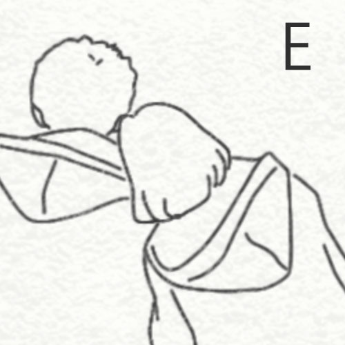 FE
