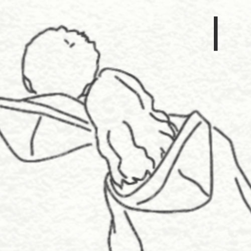 FI