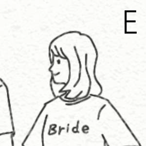 FE
